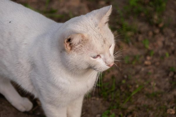 Wie kann man den Umsatz im Einzelhandel steigern?